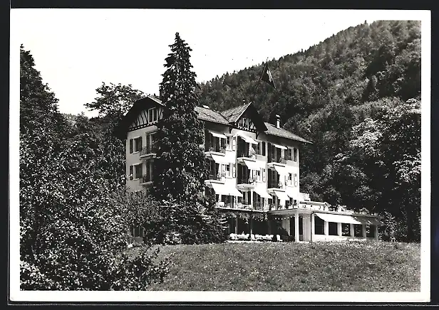 AK Bex-Les-Bains, Hotel Dent du Midi