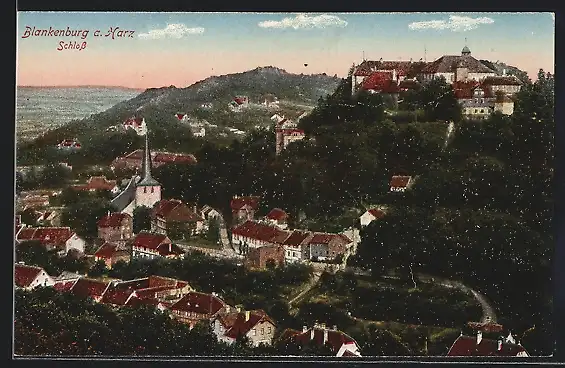 AK Blankenburg /Harz, Ortsansicht mit Schloss