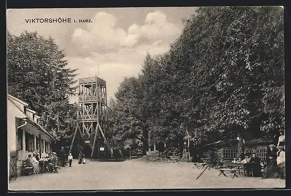 AK Viktorshöhe /Gernrode, Gasthaus Viktorshöhe, Gartenansicht mit Aussichtsturm