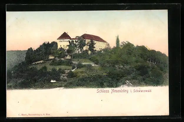 AK Neuenbürg / Schwarzwald, Schloss Neuenbürg