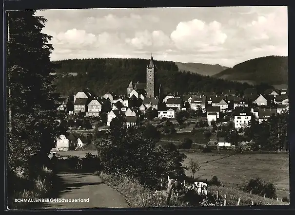 AK Schmallenberg /Hochsauerland, Teilansicht mit Kirche