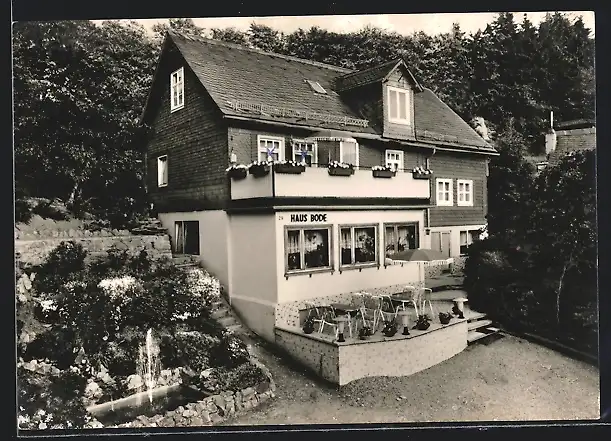 AK Willingen /Waldeck, Pension Haus Bode am Ohrenberg, Korbacherstrasse 29