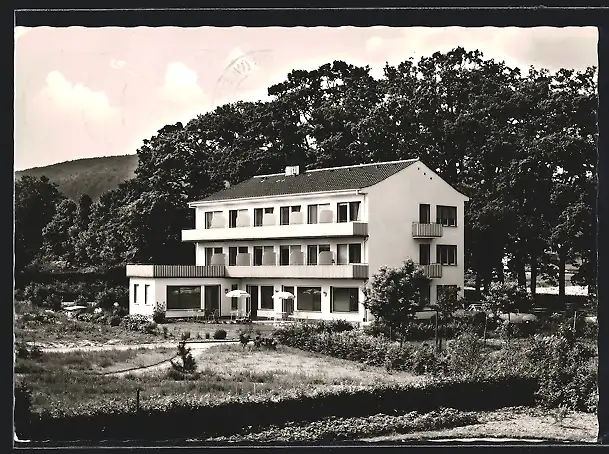 AK Bad Driburg, Pension Rasche, Brunnen-Allee