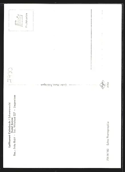 AK Calmbach /Schwarzwald, Hotel Sonne von Fritz Richt