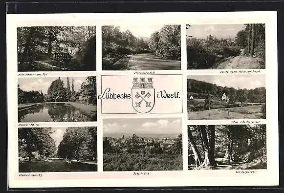 AK Lübbecke i. Westf., Waldpartie, Alte Brücke im Tal, Wilhelmplatz