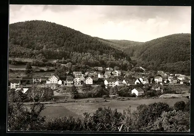 AK Langenthal / Hirschhorn, Gesamtansicht