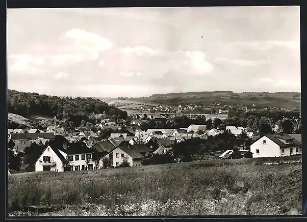 AK Diemelstadt / Wrexen, Totale von der Bergwiese aus gesehen