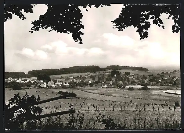 AK Nörde i. Westf., Panoramablick auf die Ortschaft