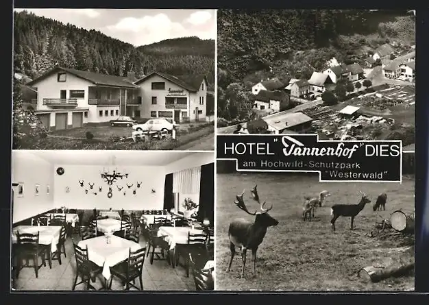 AK Dies / Westerwald, Hotel-Restaurant Tannenhof, Fam. Aloys Berg