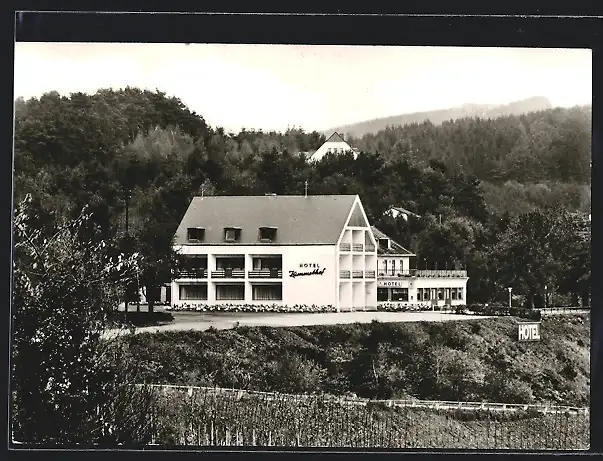 AK Leiwen-Trittenheim / Mosel, Hotel-Restaurant Zummethof, Bes. H. Steffes