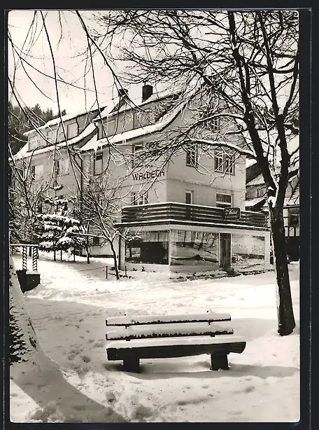 AK Gras-Ellenbach, Café-Pension Haus Waldeck im Winter, Inh. Werner Zander