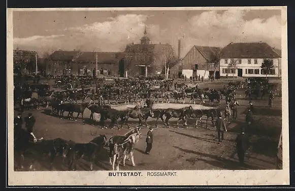 AK Buttstädt, Rossmarkt