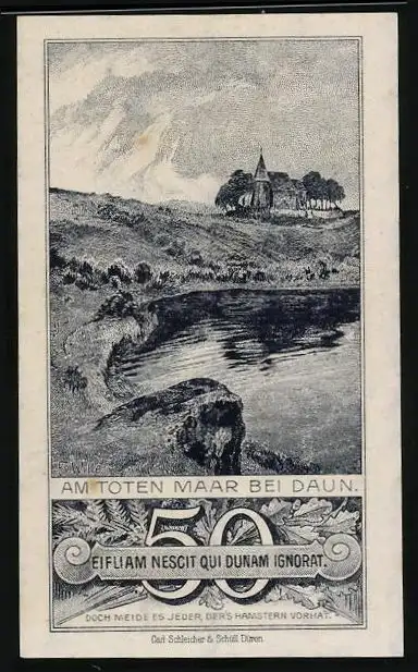 Notgeld Daun / Eifel 1920, 50 Pfennig, Am Toten Maar bei Daun, Wappen