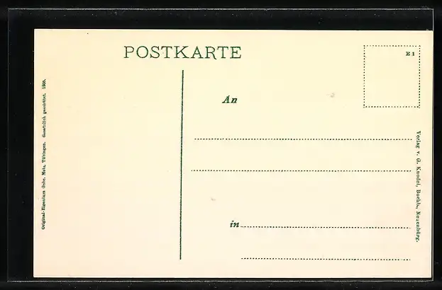 AK Neuenbürg / Württ., Gesamtansicht