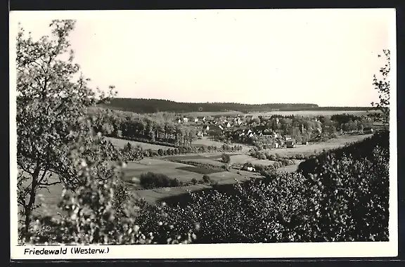 AK Friedewald / Westerwald, Teilansicht