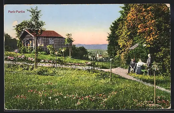 AK Zürich-Albisrieden, Bethanien mit Park Partie