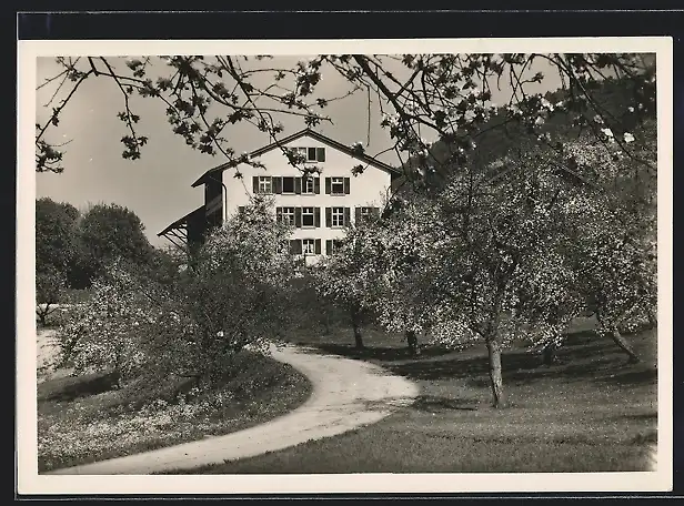 AK Sommerau, Erziehungsheim mit Zufahrt im Frühling