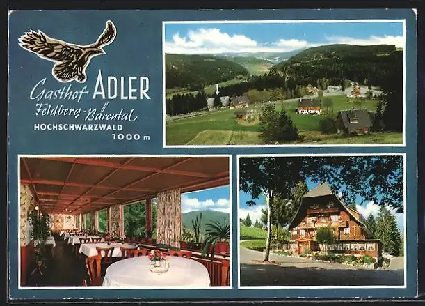 AK Feldberg-Bärental, Ortsansicht, Gasthaus Adler