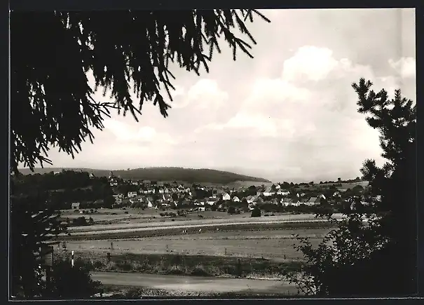 AK Rhoden / Waldeck, Panoramablick zum Ort