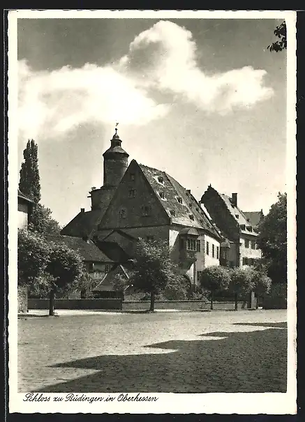 AK Büdingen / Hessen, Partie am Schloss