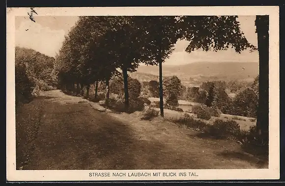 AK Frankenheim / Rhön, Strasse nach Laubach mit Blick ins Tal