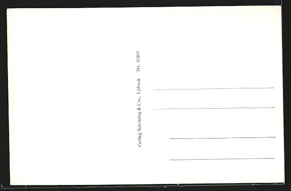 AK Saalfeld / Saale, Partie am Blankenburger Tor