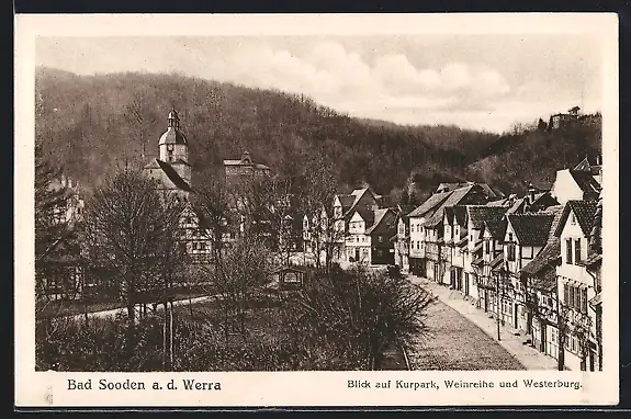 AK Bad Sooden a. d. Werra, Blick auf Kurpark, Weinreihe und Westerburg