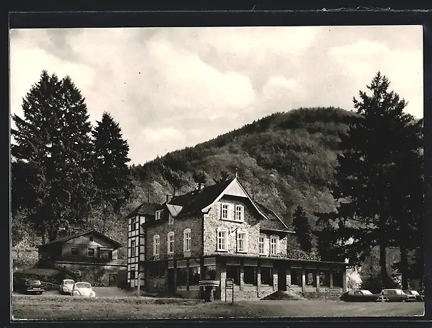 AK Lorch / Rhein, Wald-Gasthof u. Pension Kammerburg im Wispertal
