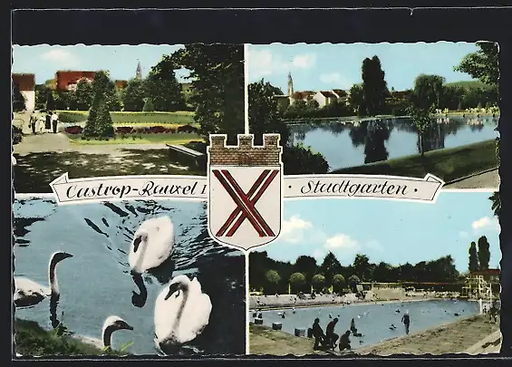 AK Castrop-Rauxel, Stadtgarten, Teichpartie, Freibad, Wappen