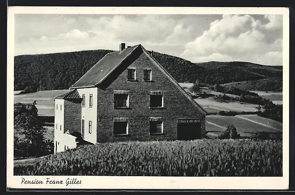 AK Hasenfeld /Eifel, Pension Franz Gilles aus der Vogelschau