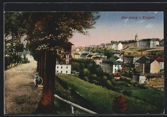 AK Annaberg /Erzgeb., Ortsansicht von einer Allee aus