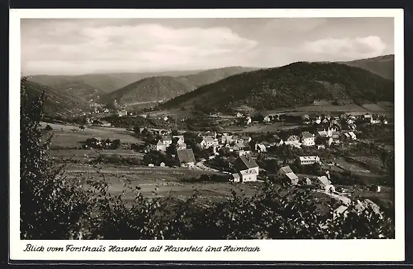 AK Hasenfeld, Blick vom Forsthaus auf Hasenfeld und Heimbach