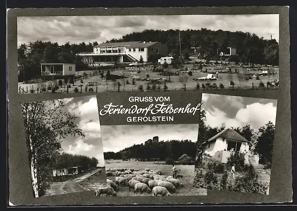 AK Gerolstein /Eifel, Feriendorf Felsenhof, Hirte mit Schafen, Ortspartie