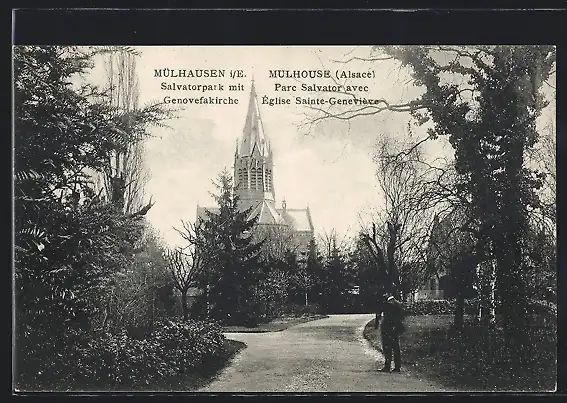 AK Mülhausen, Salvatorpark mit Genovefakirche