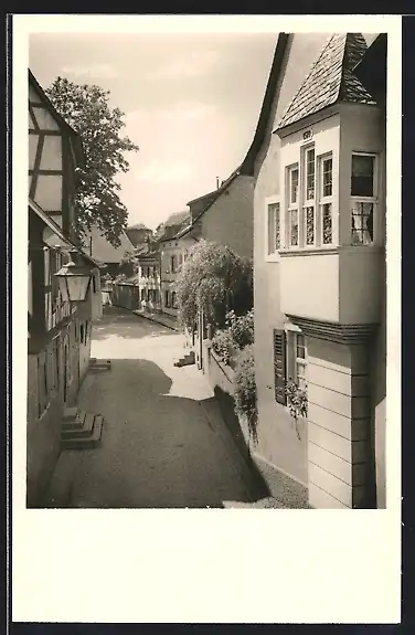 AK Meisenheim am Glan, Strasse Obergasse mit Bäumen