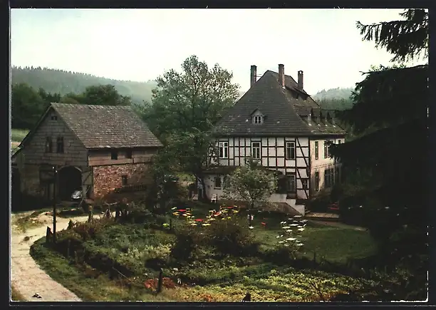 AK Holzminden-Schiesshaus /Solling, Gasthaus Zur Waldmühle Erich Mundt