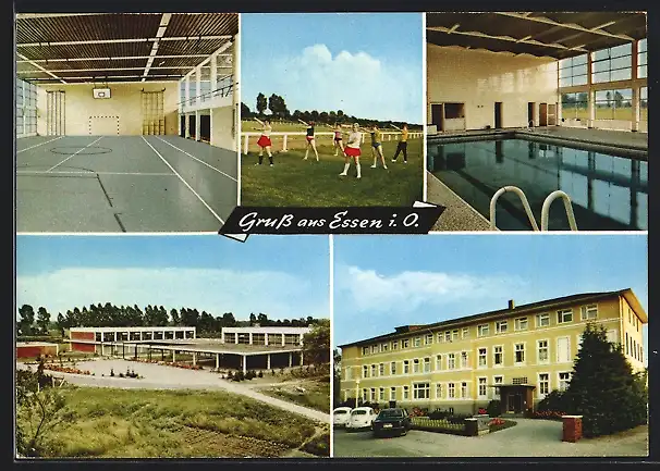 AK Essen i. Oldb., Innenansichten Schwimmbad und Sporthalle, Turnerinnen bei Freiübungen