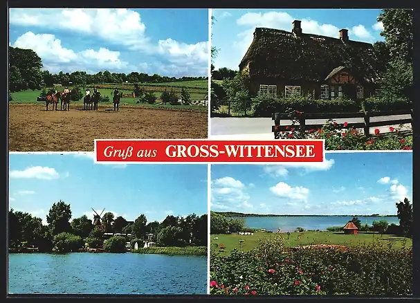 AK Gross-Wittensee, Bauernhaus, Windmühle, Uferpartie