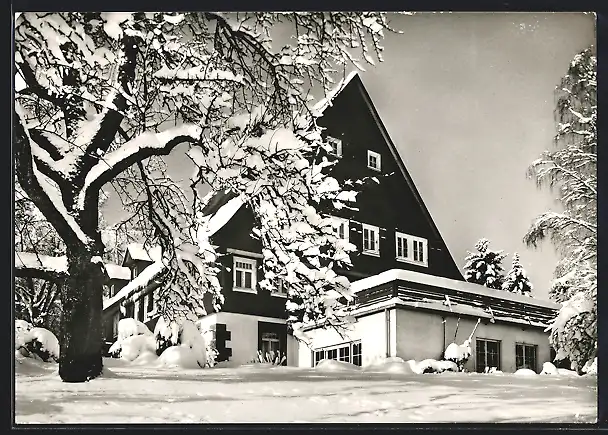 AK Alpirsbach-Ehlenbogen /Schwarzw., Kurhaus Grezenbühl im Schnee