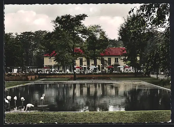 AK Duisburg, Tierpark mit Cafe und Flamingos
