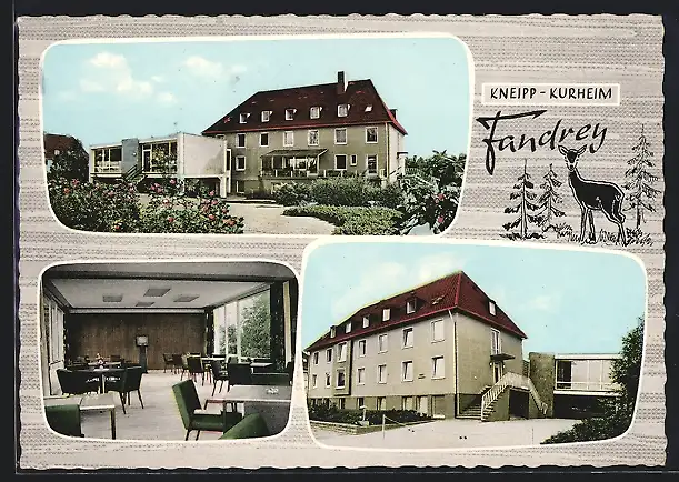 AK Bad Iburg, Hotel-Kneipp-Kurheim Fandrey, Von Wartenberg Strasse 9