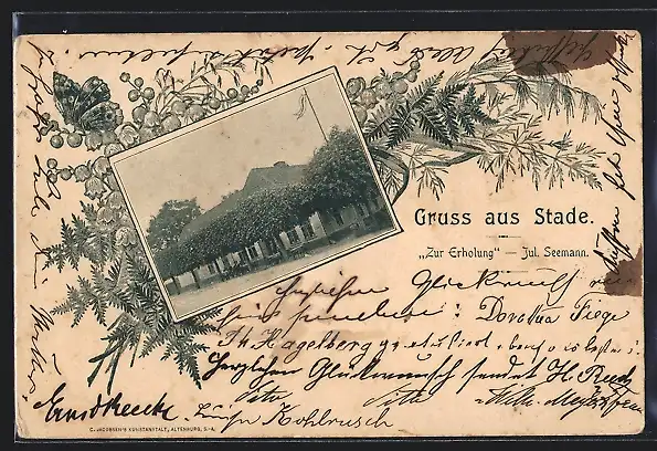 AK Stade, Gasthaus Zur Erholung von Jul. Seemann, Schmetterling auf Maiglöckchen