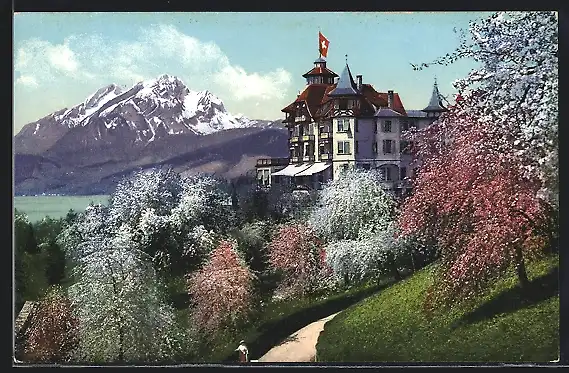 AK Weggis, Hotel Alpenblick mit Pilatus am Vierwaldstättersee