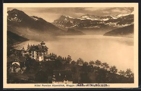 AK Weggis, Hotel Pension Alpenblick mit See und Bergen
