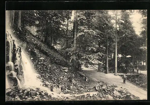 AK Bad Harzburg, Partie am Radaufall