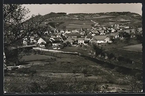 AK Irrel / Eifel, Gesamtansicht aus der Vogelschau