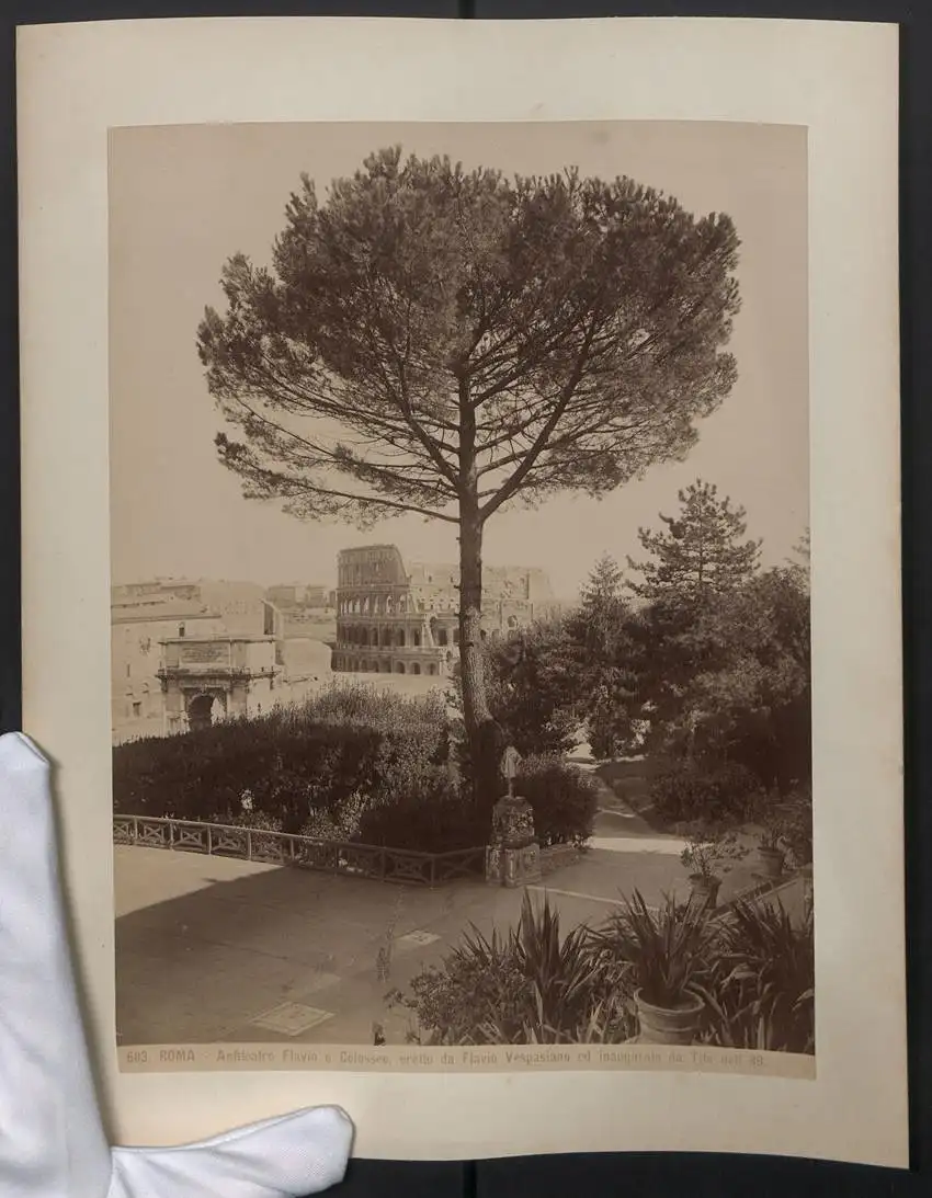 Fotografie unbekannter Fotograf, Ansicht Rom / Roma, Anfiteatro Flavio o Colosseo, eretto da Flavio Vespasiano