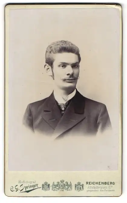 Fotografie Carl G. Springer, Reichenberg i. B., Altstädterplatz 12 a, Junger Herr im Anzug mit Krawatte