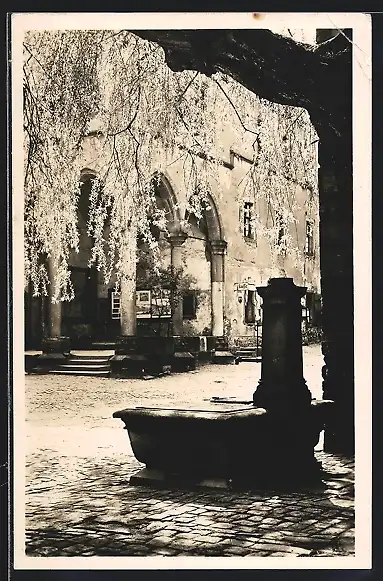 AK Heidelberg, Morgensonne im Schlosshof