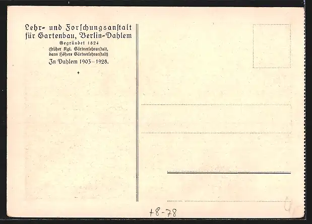 AK Berlin-Dahlem, Lehr- und Forschungsanstalt für Gartenbau, Kordons von Weisser Winter-Kalvill in Blüte